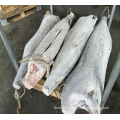 Seafood Wholesales Frozen Fish Striped Marlin HGT 30kg+